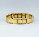 Link Bio-Mag Bracelet