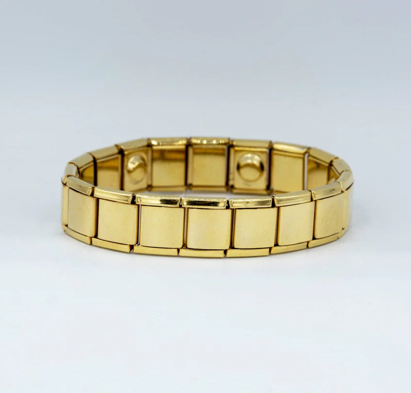 Link Bio-Mag Bracelet